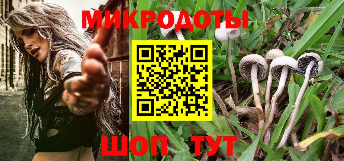 Энгельс  Псилоцибиновые грибы Magic Shrooms  как найти закладки  Вход с VPN 